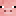 kill_pig