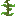 mine_kelp